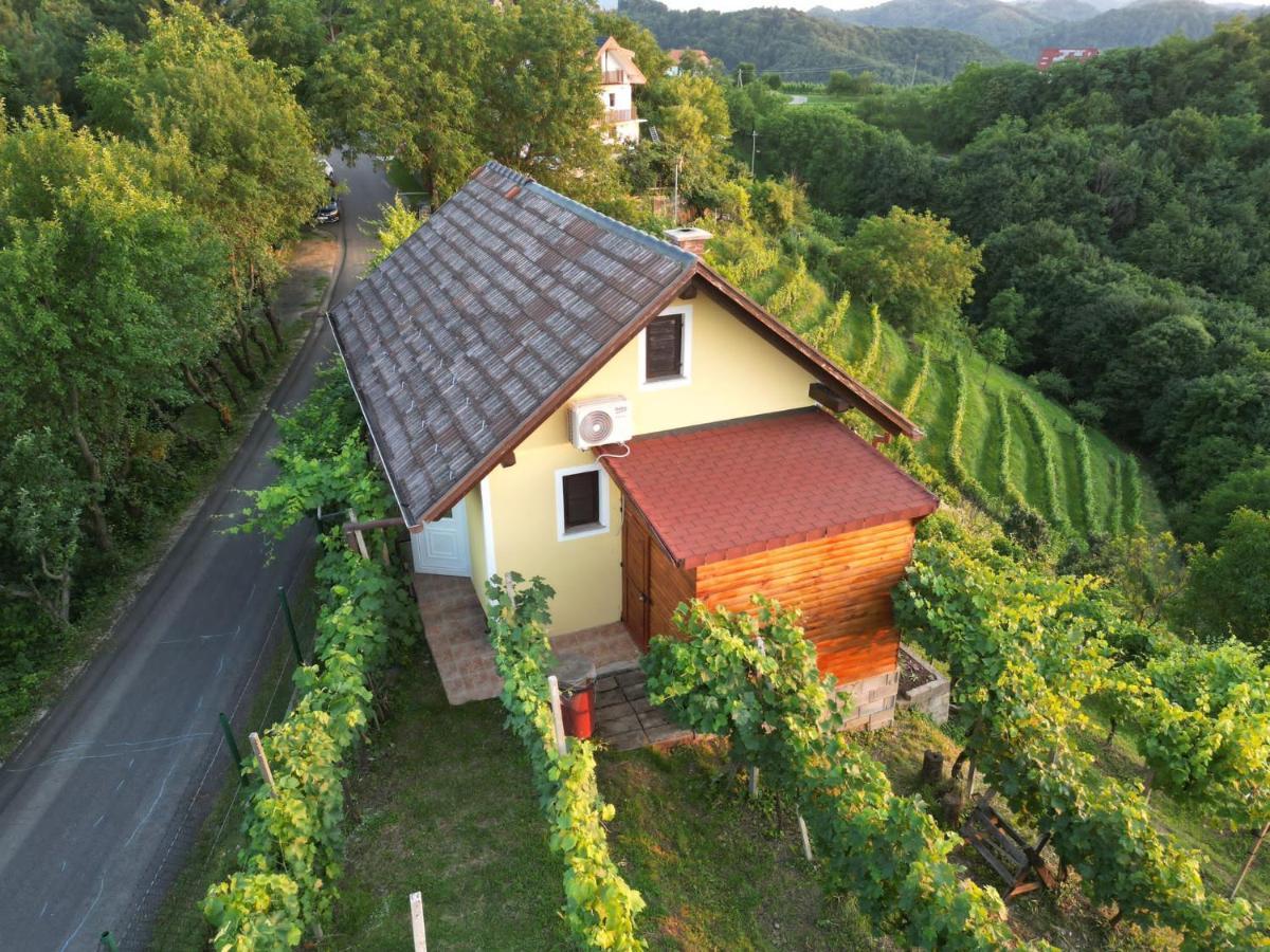 Adorable Guesthouse In The Middle Of Vineyards Ptujska Gora Exterior foto
